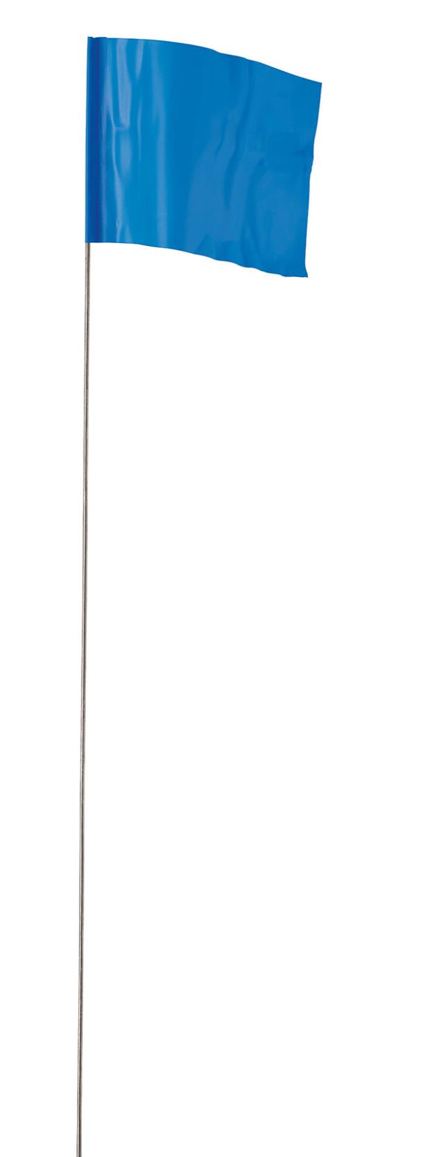 Rental store for FLAG,STAKE,BLUE,  100 BDL in Marquette MI