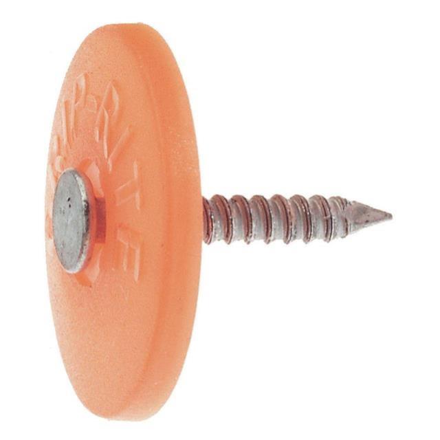 Rental store for NAIL, STYRO RF,W CAP,2 ,2K in Marquette MI